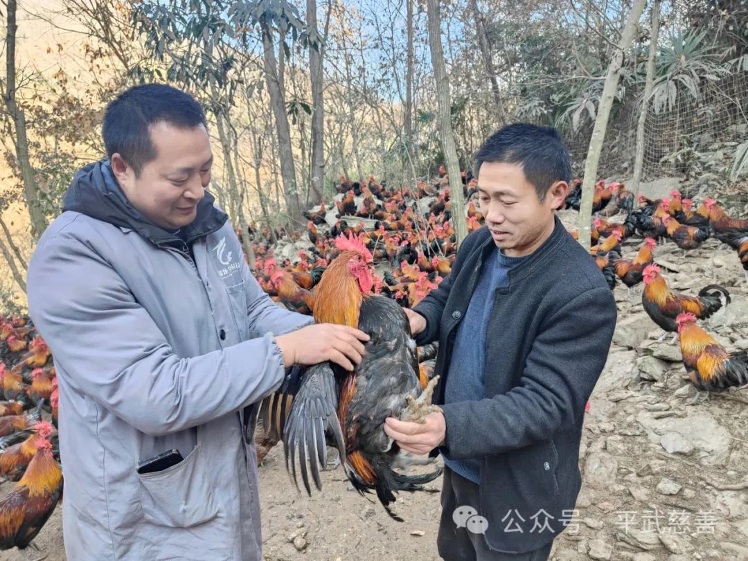 微信图片_20240105134620.jpg
